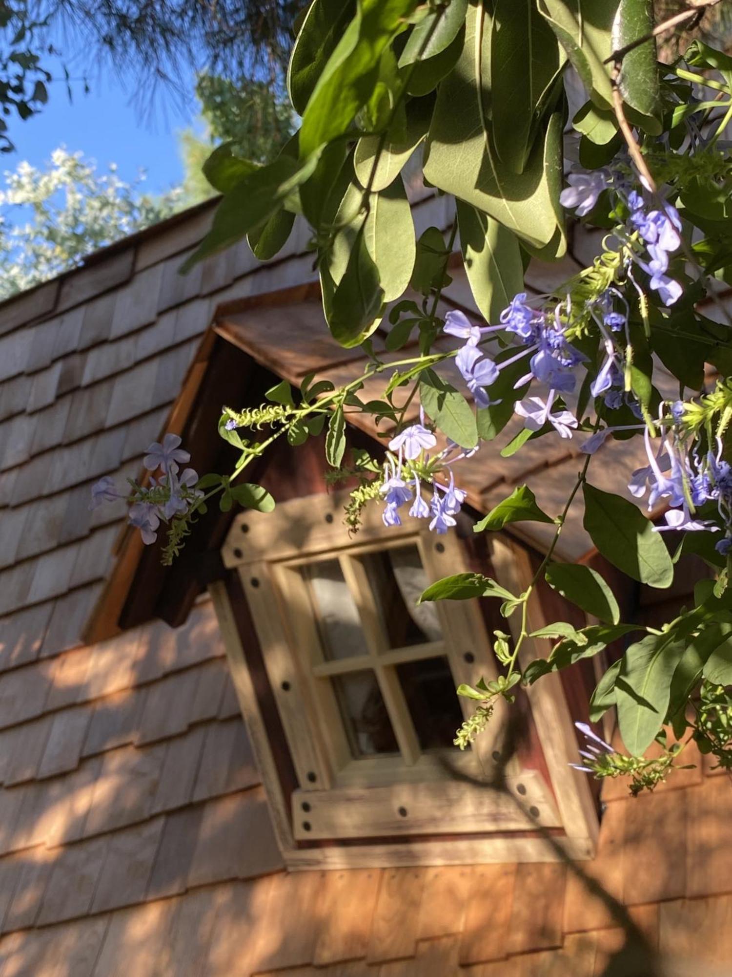Villelongue-dels-Monts Mas Del Flor Bed & Breakfast 部屋 写真